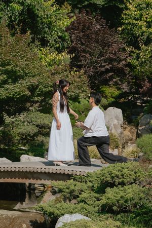 Proposal at the Japanese Friendship Garden, Balboa Park San Diego CA