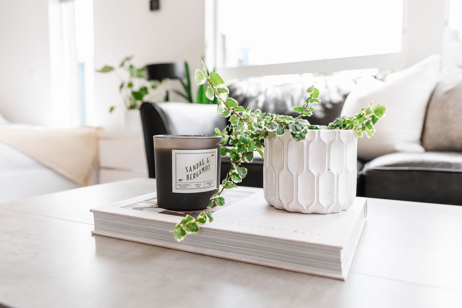 Bright white interior space with minimalist decor and green plants adding natural touches.