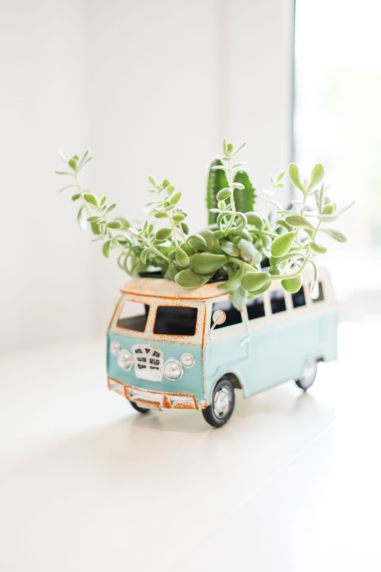 Vintage-style blue VW bus planter with small green plants growing on white background in a west Kelowna Airbnb