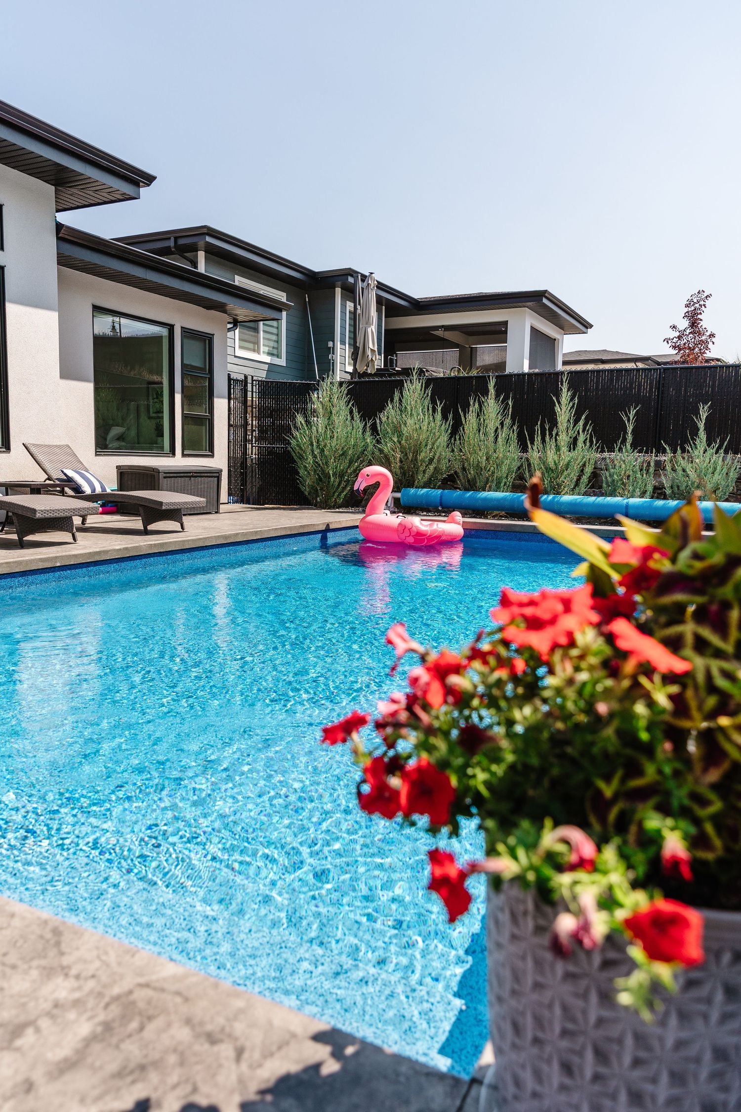 Modern swimming pool with colorful floats and vibrant flowers in foreground.