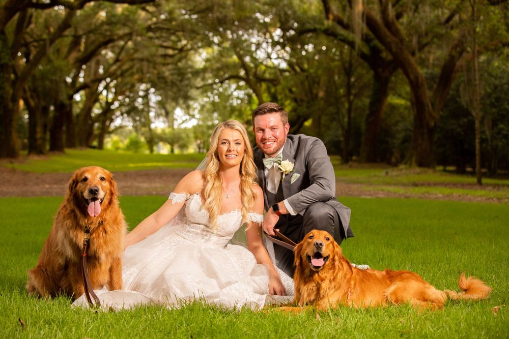 Happy newlyweds sitting on grass with their two golden retriever dogs for outdoor wedding portrait.