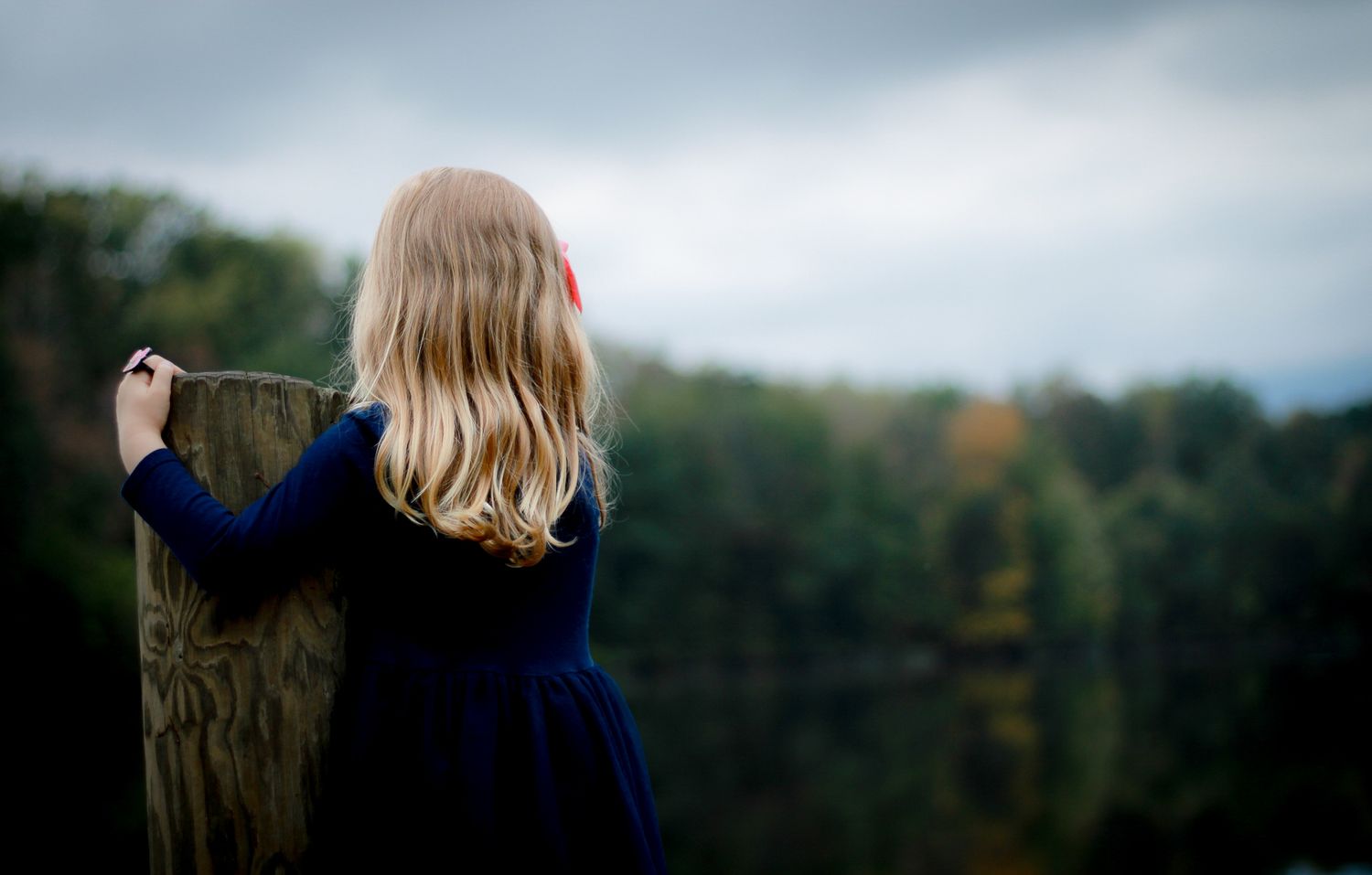 A person with long blonde hair looks out over a scenic vista.
