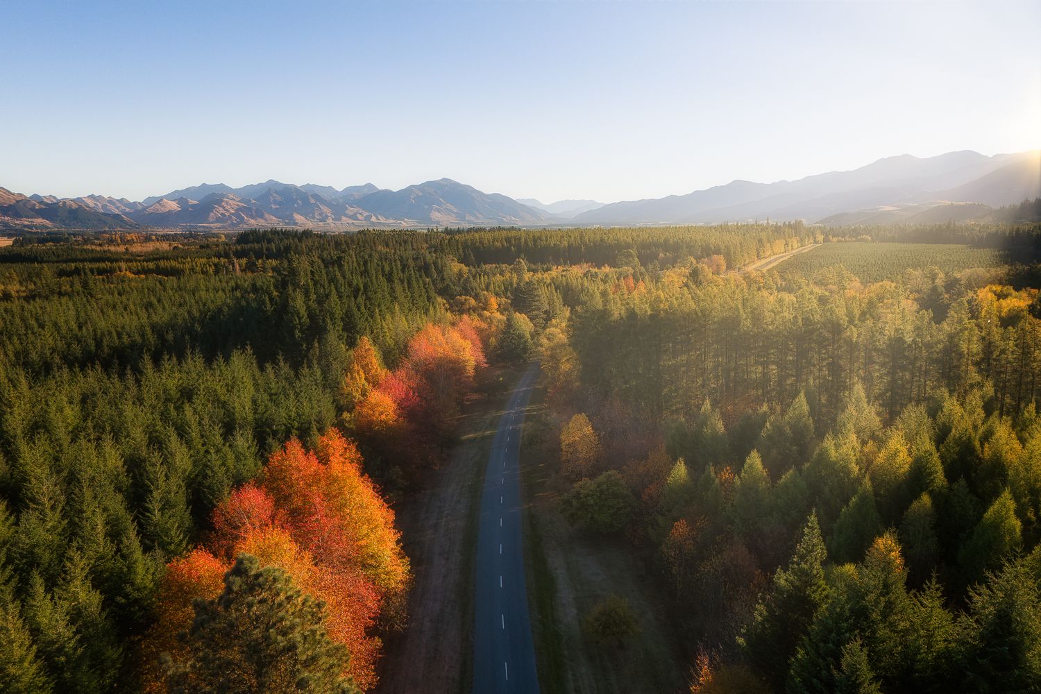 Panoramic mountain landscape with evergreen forests and autumn foliage during golden hour.