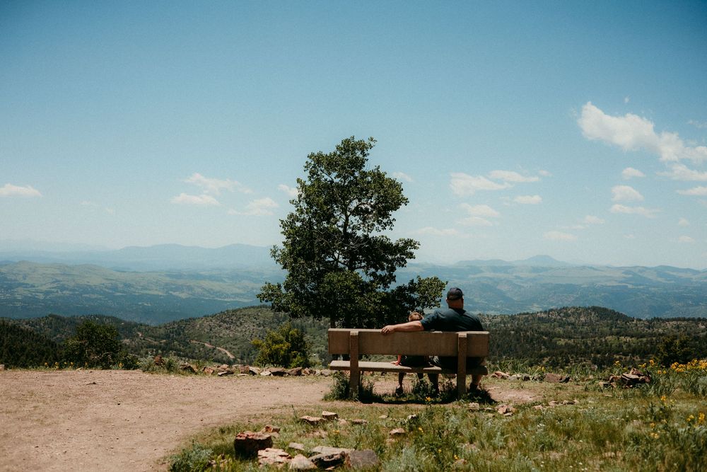 People sitting on bench overlooking scenic mountain landscape with lone tree and blue sky on sunny day.