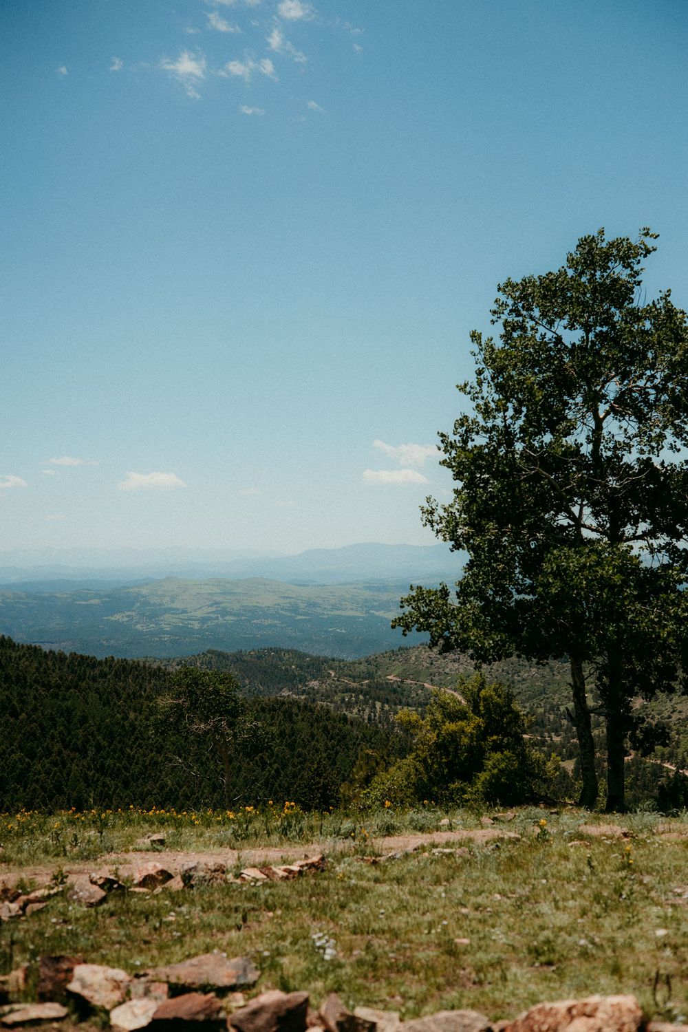 A scenic mountain landscape view with rocky terrain, scattered trees, and blue skies stretches across the horizon.