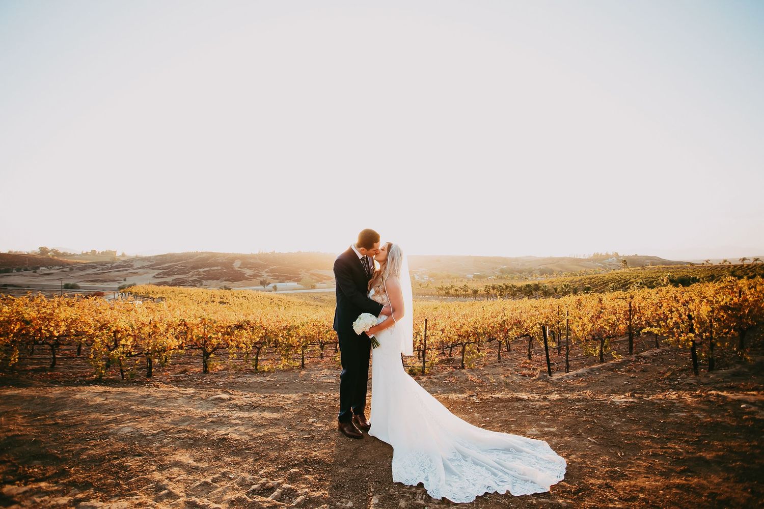 Temecula Wedding couple standing in front of golden vineyard.