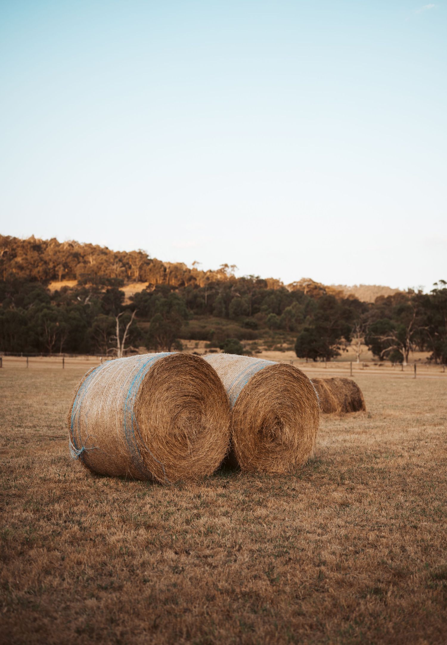 Yarra Valley Estate hotel room and conference facility photography - accommodation photography Melbourne