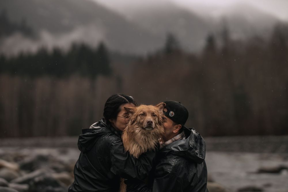 Owners kissing dog, while dog looks out