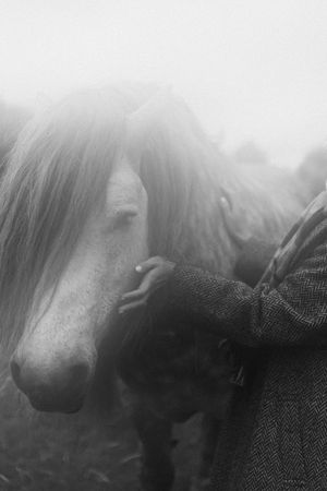 Close-up black and white portrait of a pony's face with flowing mane in ethereal foggy lighting.