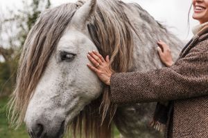 A gentle hand reaches out to pet a beautiful dappled grey horse with a long flowing mane.