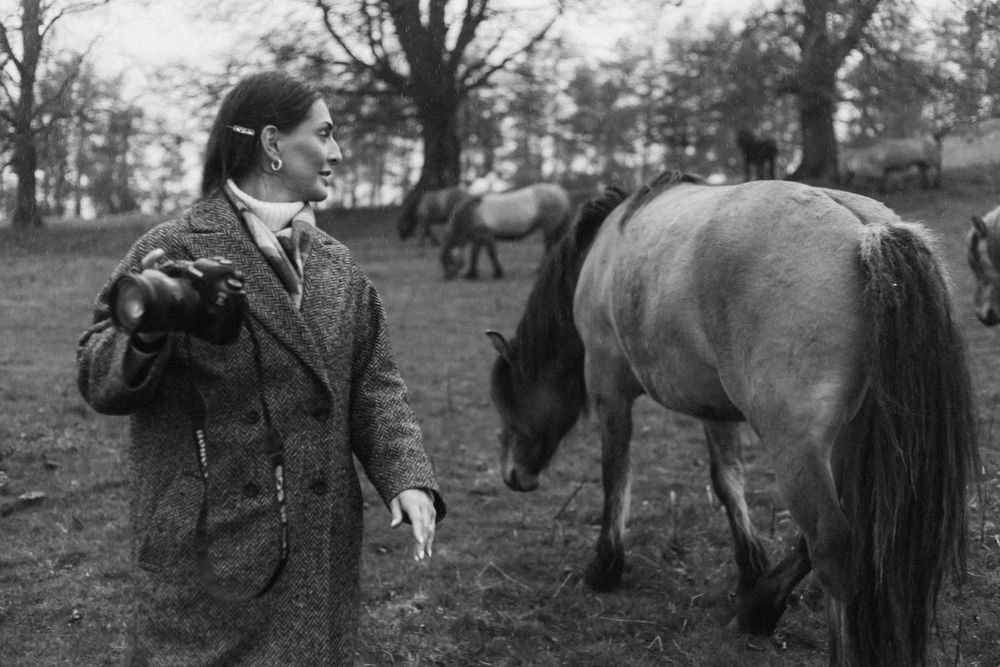Historical black and white photograph showing horses and riders in a field with trees in the background.