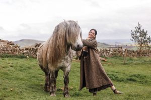A group of five sequential images showing a playful interaction between a person and a Shetland pony in a grassy field.
