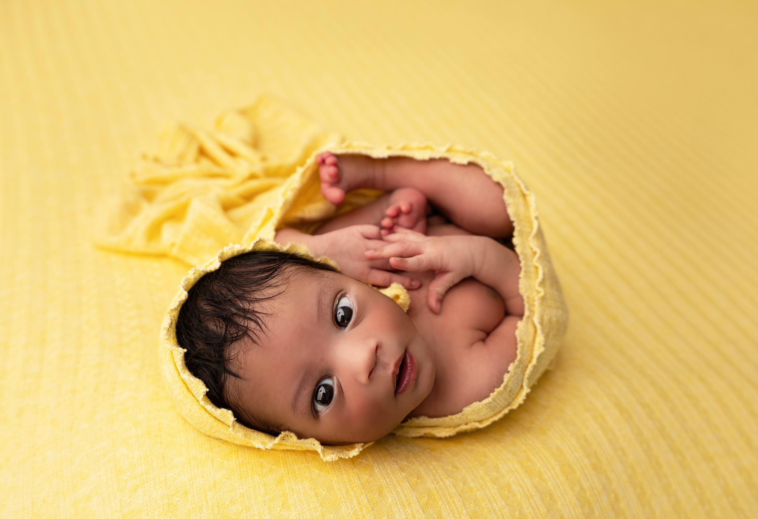 newborn photography berea ky newborn photographer kentucky newborn photographer lexington ky newborn photographer richmond ky