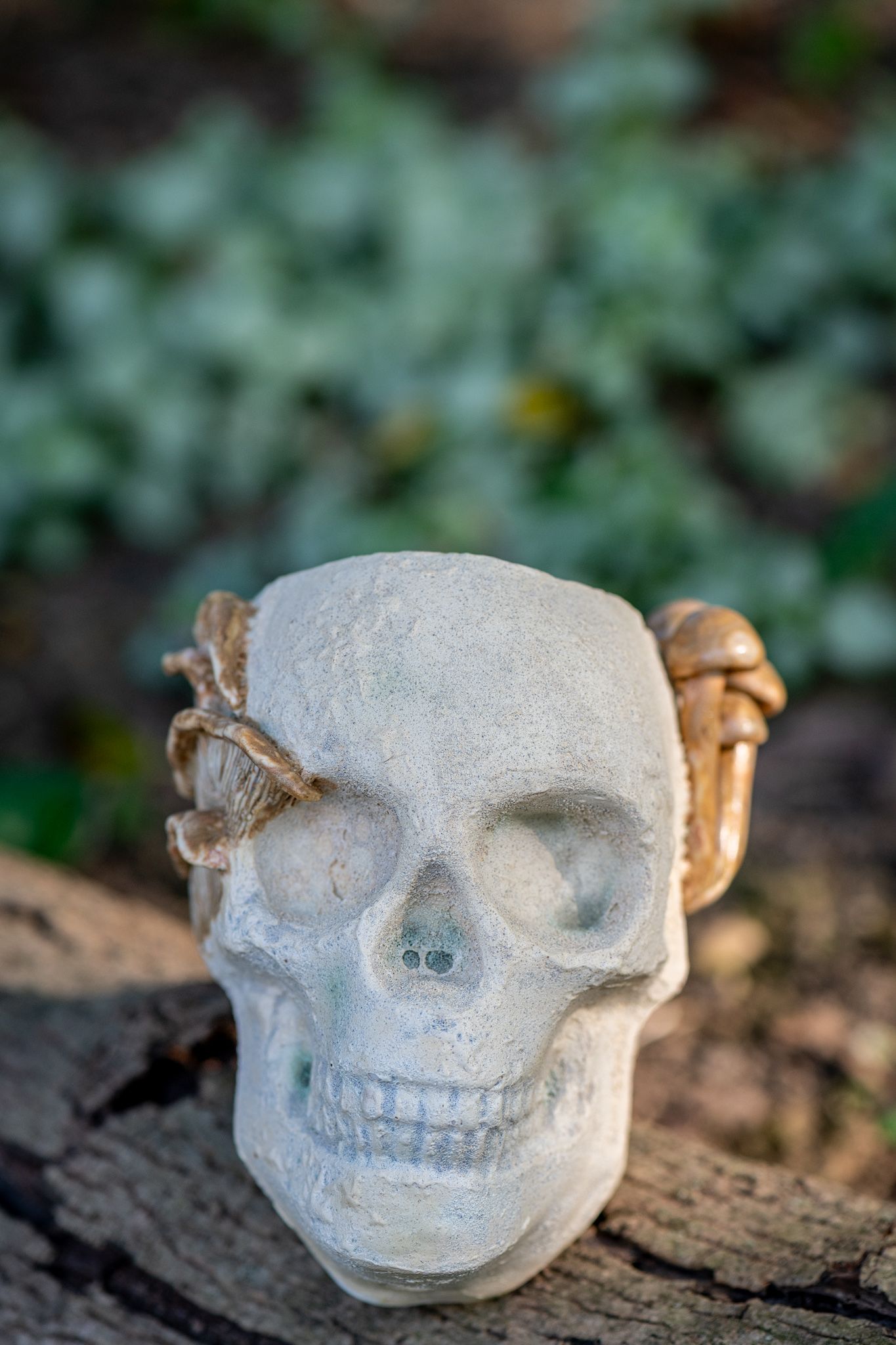 A decorative white skull ornament with a spooky grin sits on a wooden log against a blurred green background.