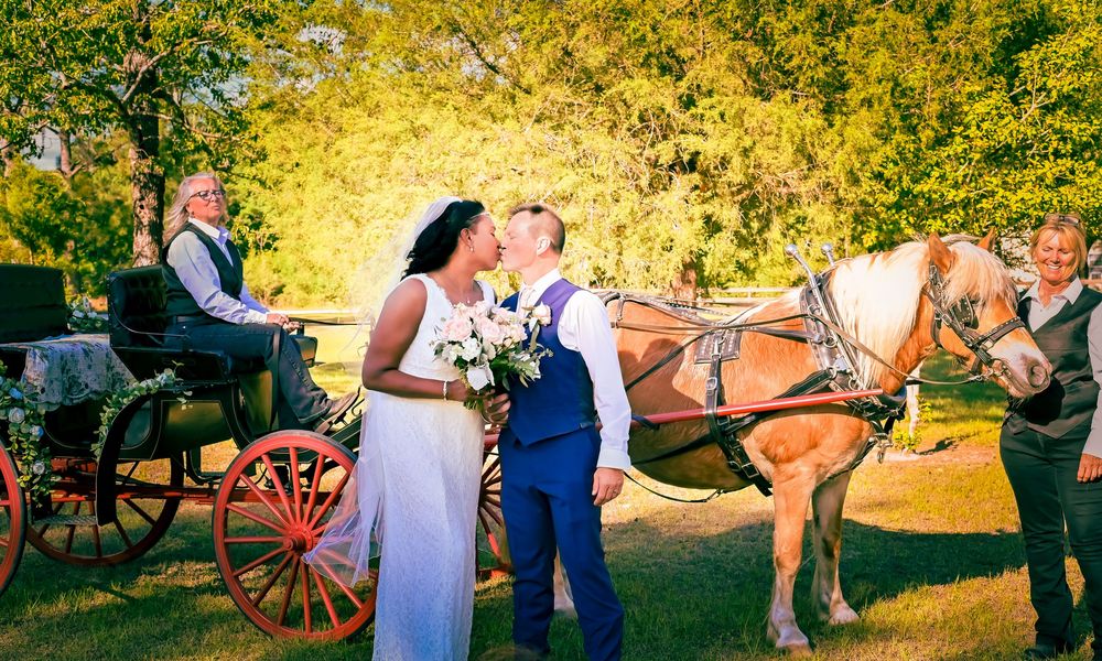 A romantic wedding photo sequence shows a couple embracing near a horse-drawn carriage at sunset in a park setting.