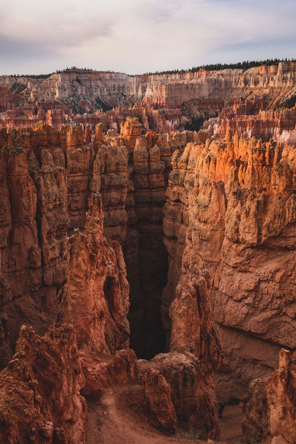 Deep orange canyon walls form a dramatic chasm in Bryce Canyon during sunset.