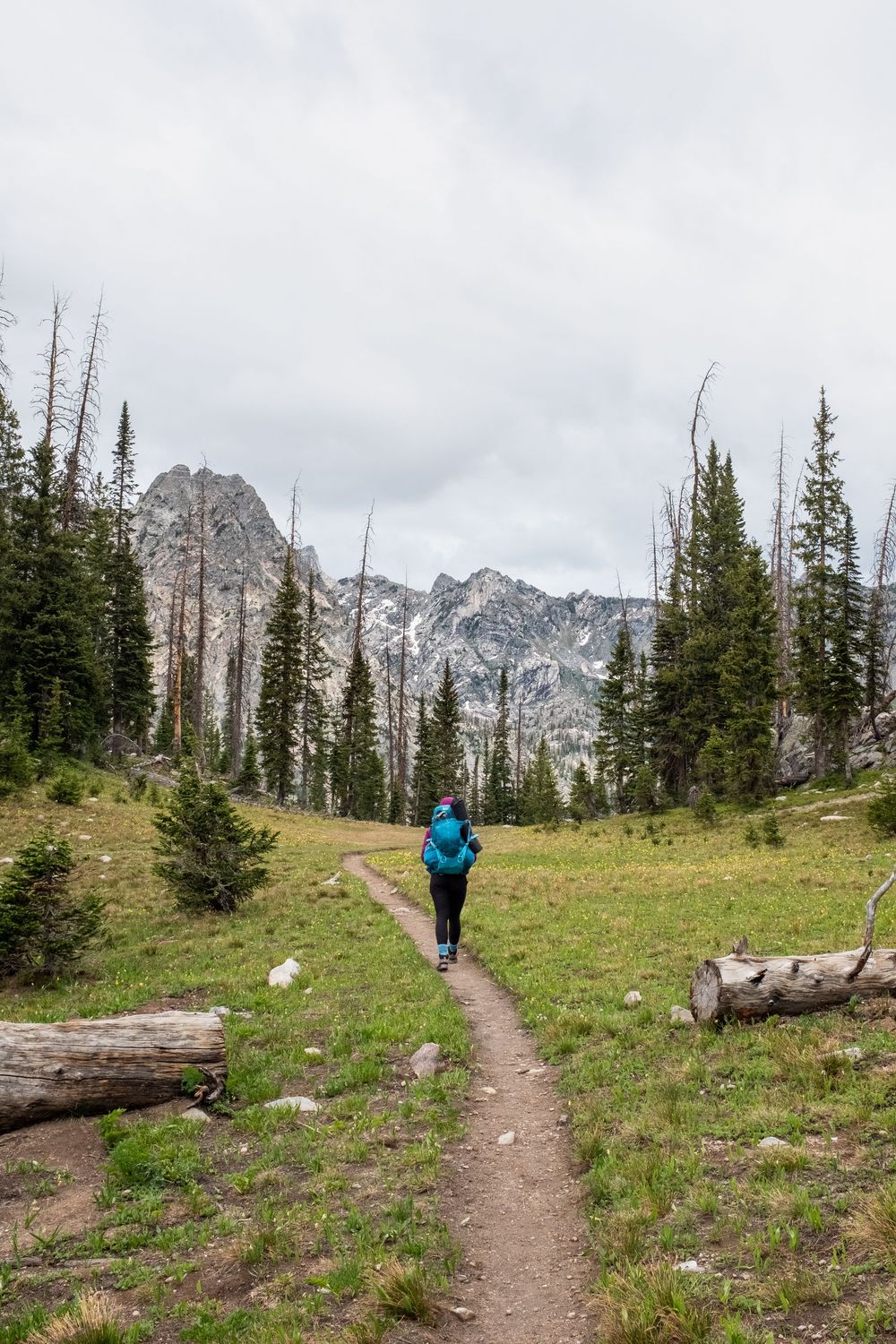 A hiker follows a dirt trail through alpine meadows towards snow-capped mountain peaks.
