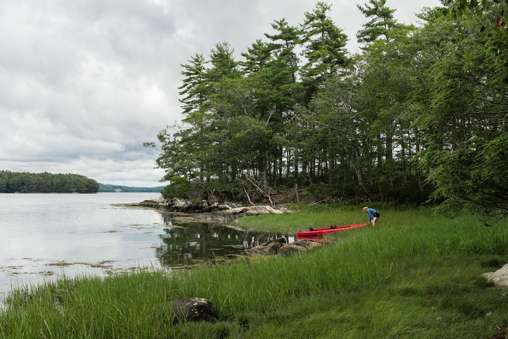 A scenic lakeside view with pine trees along the shoreline and cloudy skies overhead.