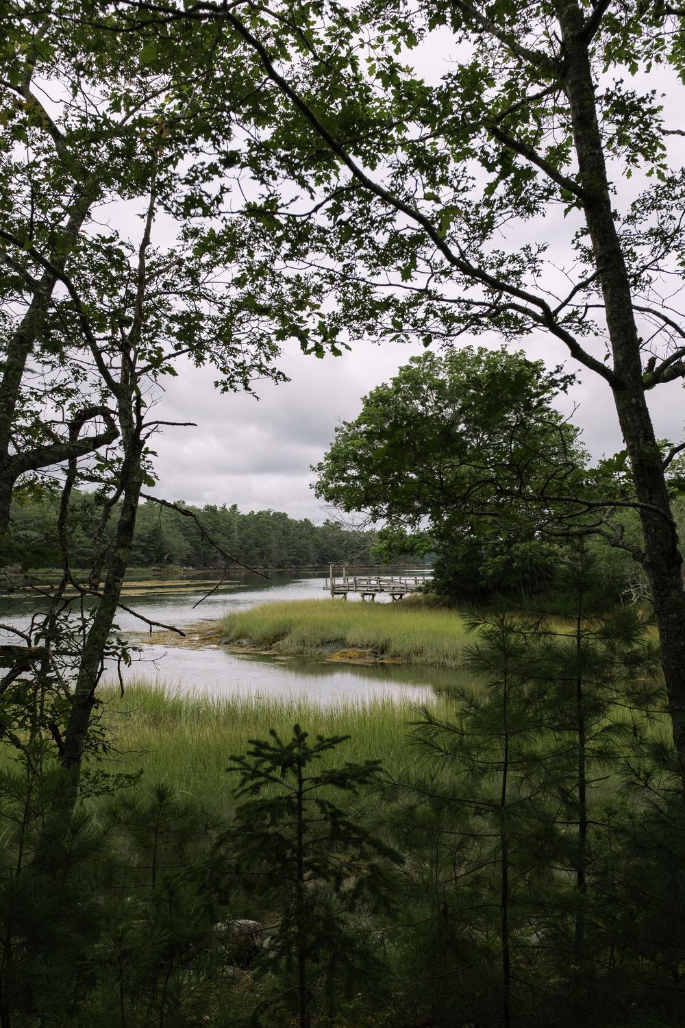 Scenic panoramic view of a coastal marsh with green vegetation and trees framing a tranquil waterway under cloudy skies.
