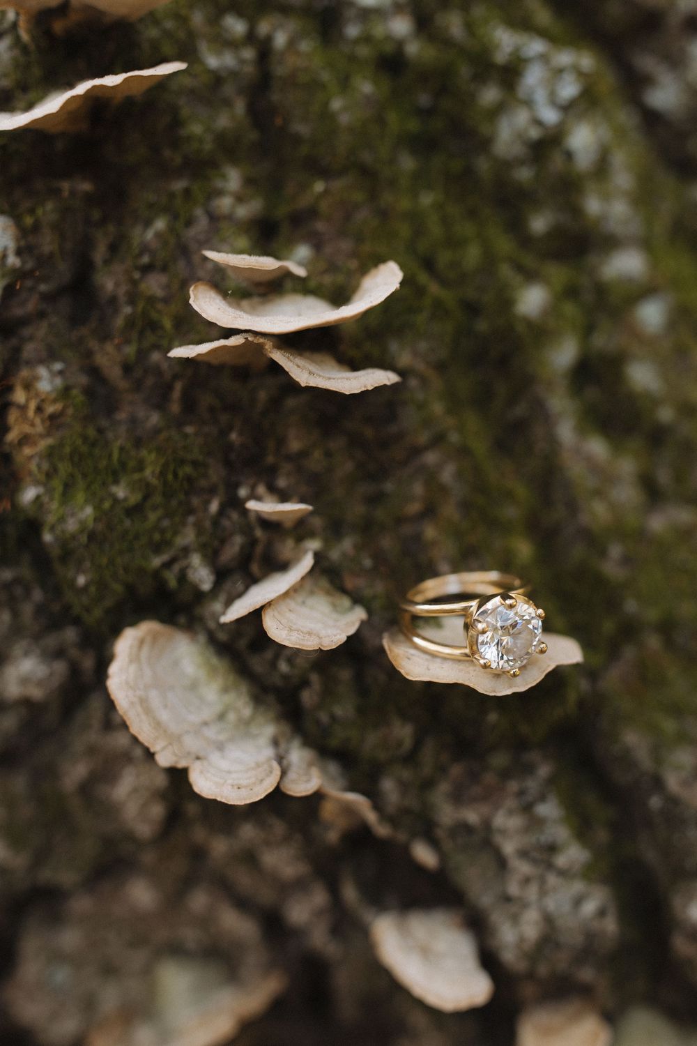 Close-up of an engagement ring placed on tree bark with delicate mushrooms.