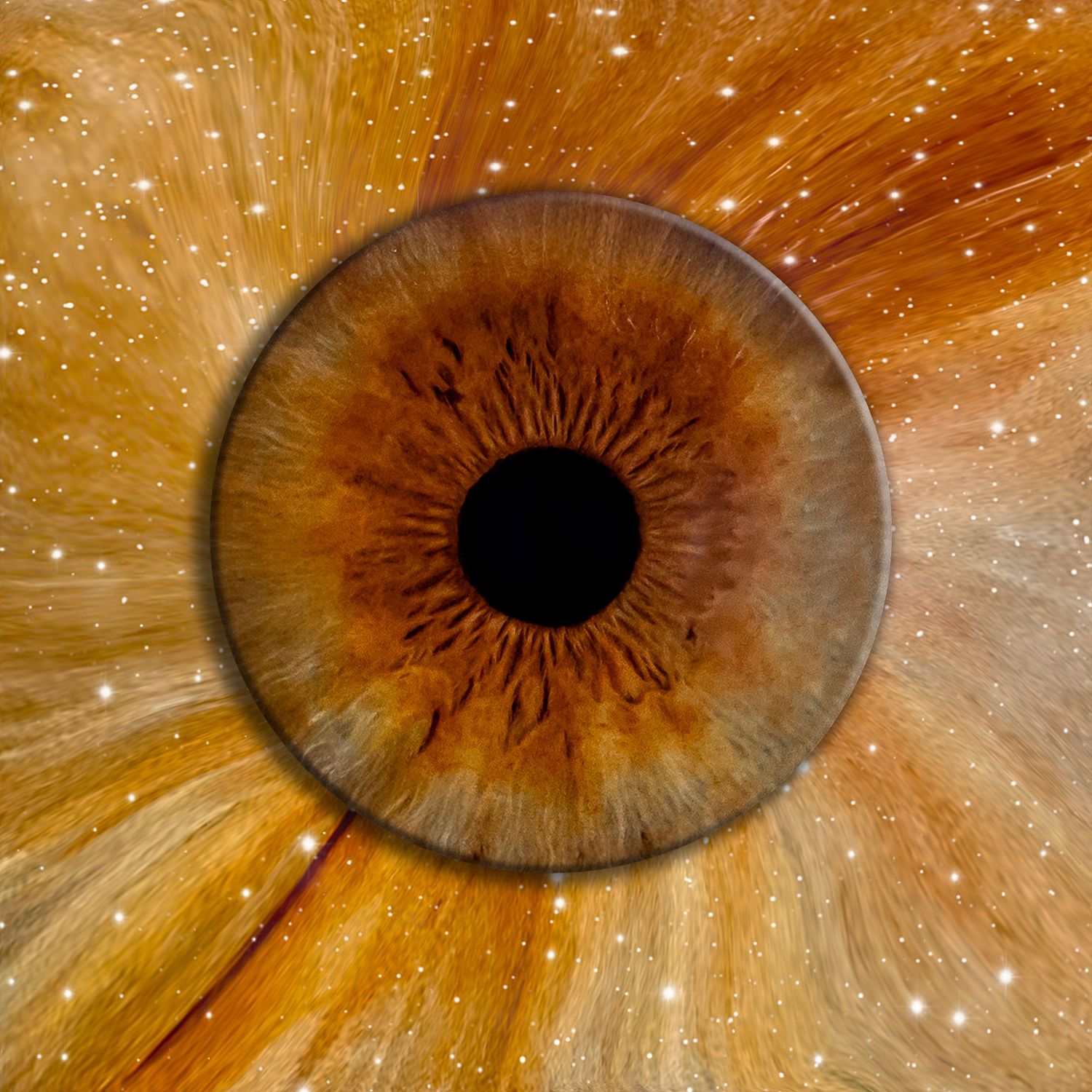 Extreme macro close-up of a brown human iris showing intricate radial patterns and textures in golden amber tones.