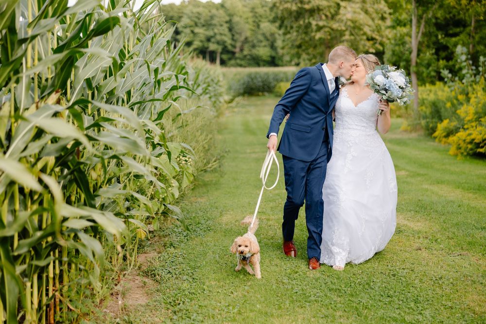 A couple embraces in a romantic moment surrounded by tall corn stalks in a rustic outdoor garden setting.