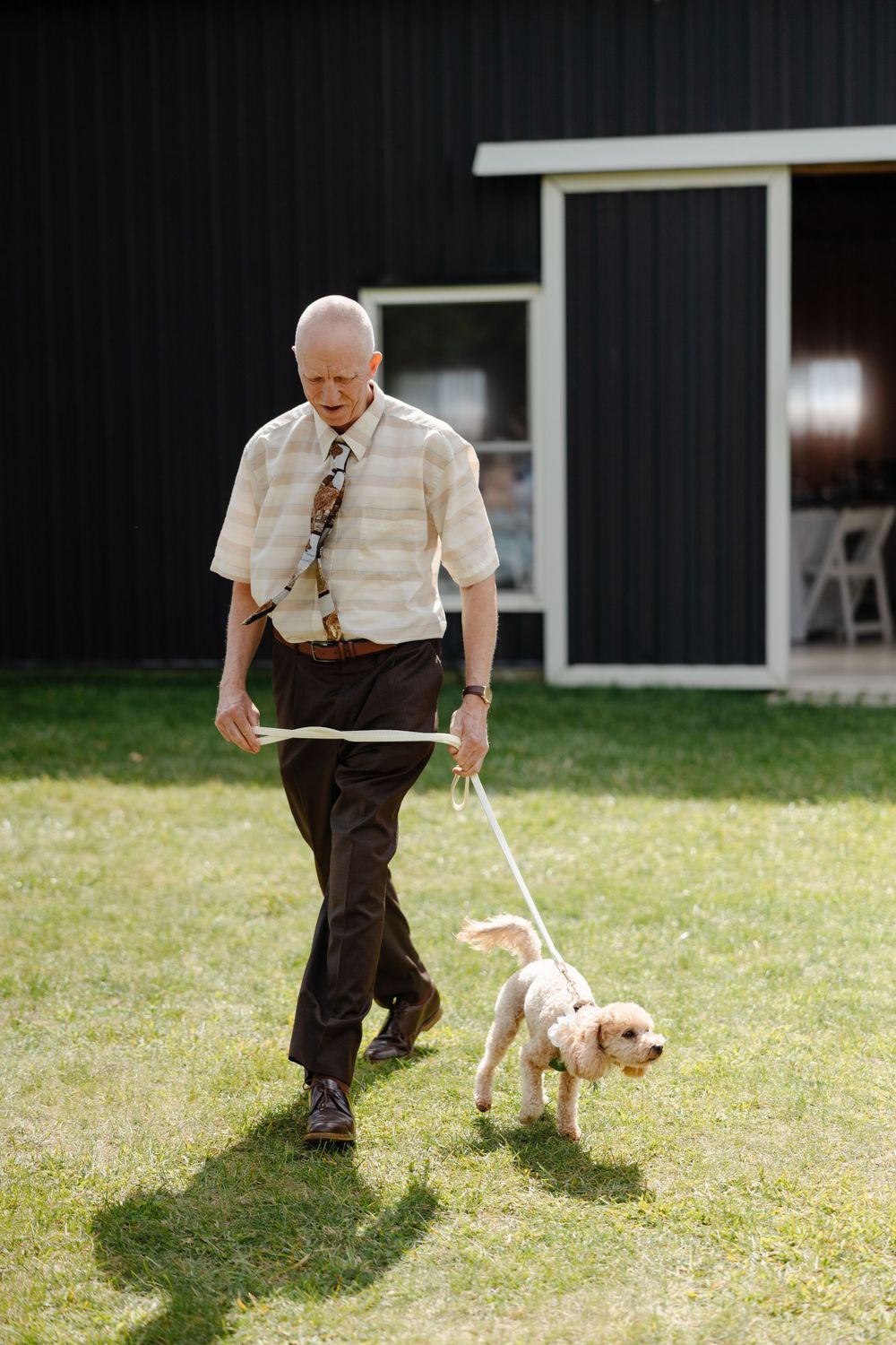 A sequence of photos showing someone walking a small white dog on a grassy lawn near a dark building.