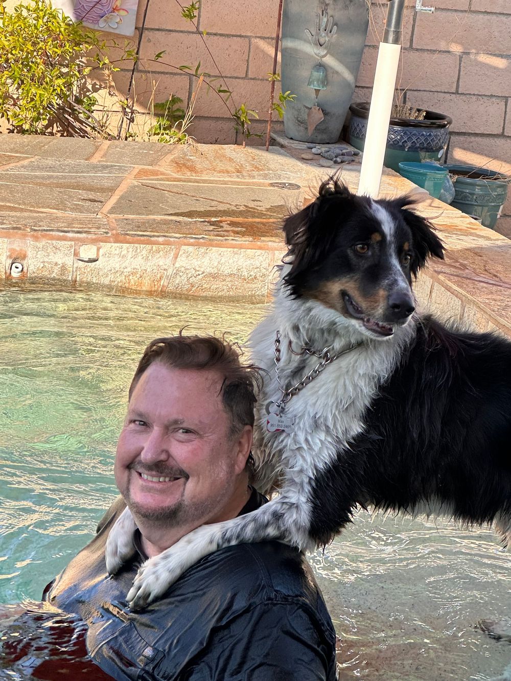 A black and white Border Collie relaxes on a pool deck with blue water visible.