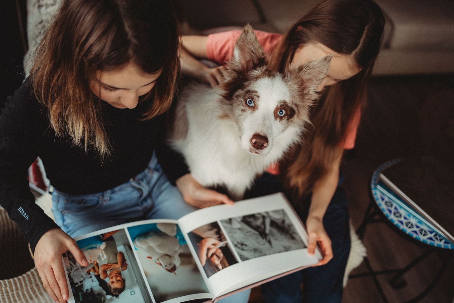 Two people and a white dog with striking blue eyes look through a photo album together on a cozy evening.
