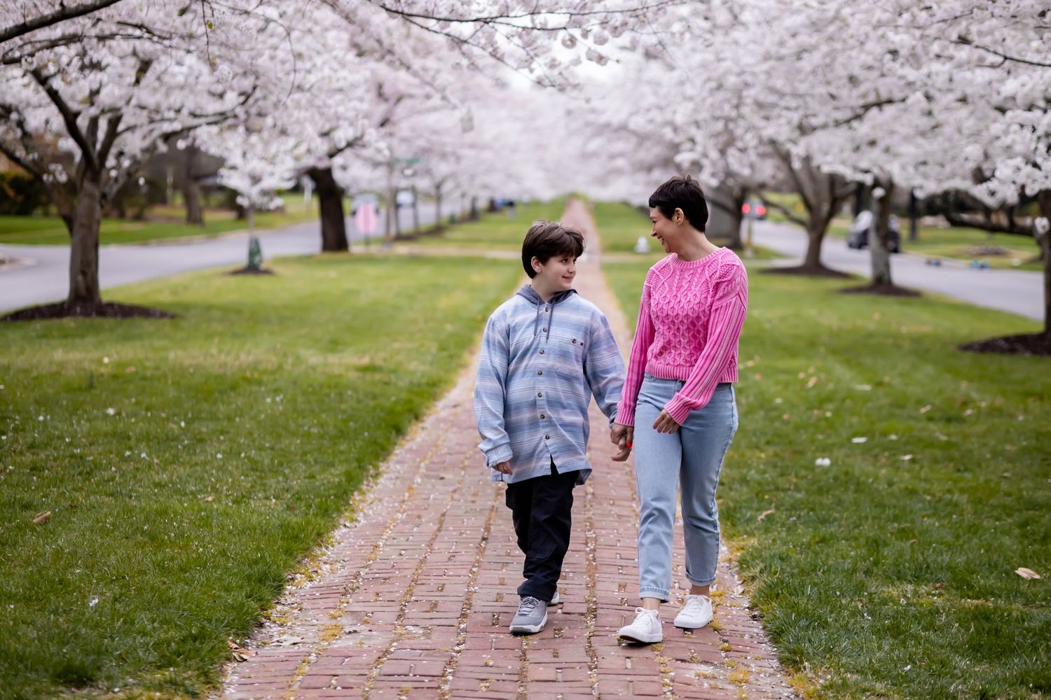 Maternity Photo Session with Cherry Blossom Backdrop – A glowing expectant mother cradles her baby bump under delicate cherry blossom trees