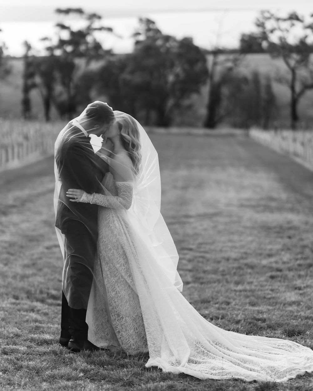 Black and white wedding photo of bride and groom kissing under veil in vineyard setting.