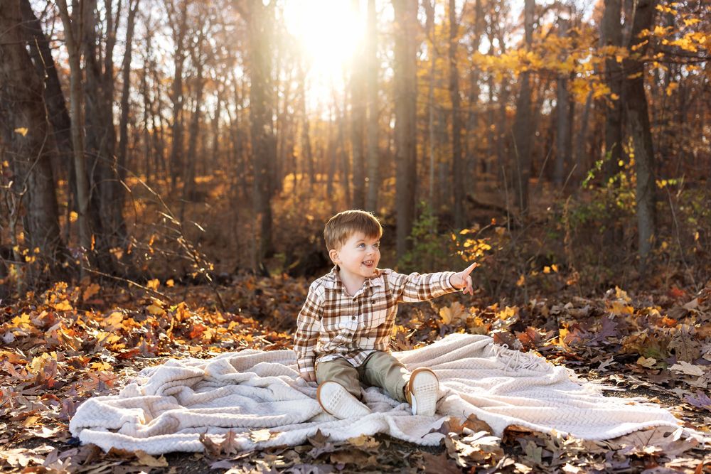 Happy toddler boy in plaid shirt sits on blanket reaching out among colorful fall leaves in sunlit woods.