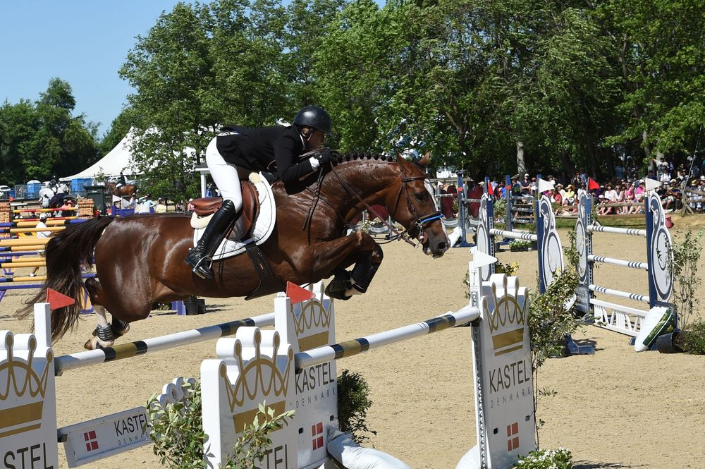 Equestrian show jumping competition with multiple horses and riders clearing obstacles on a sunny outdoor course.