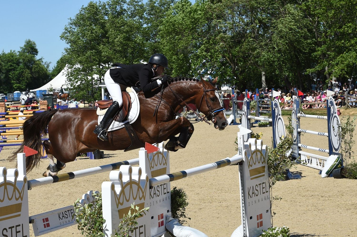 Equestrian show jumping competition with multiple horses and riders clearing obstacles on a sunny outdoor course.