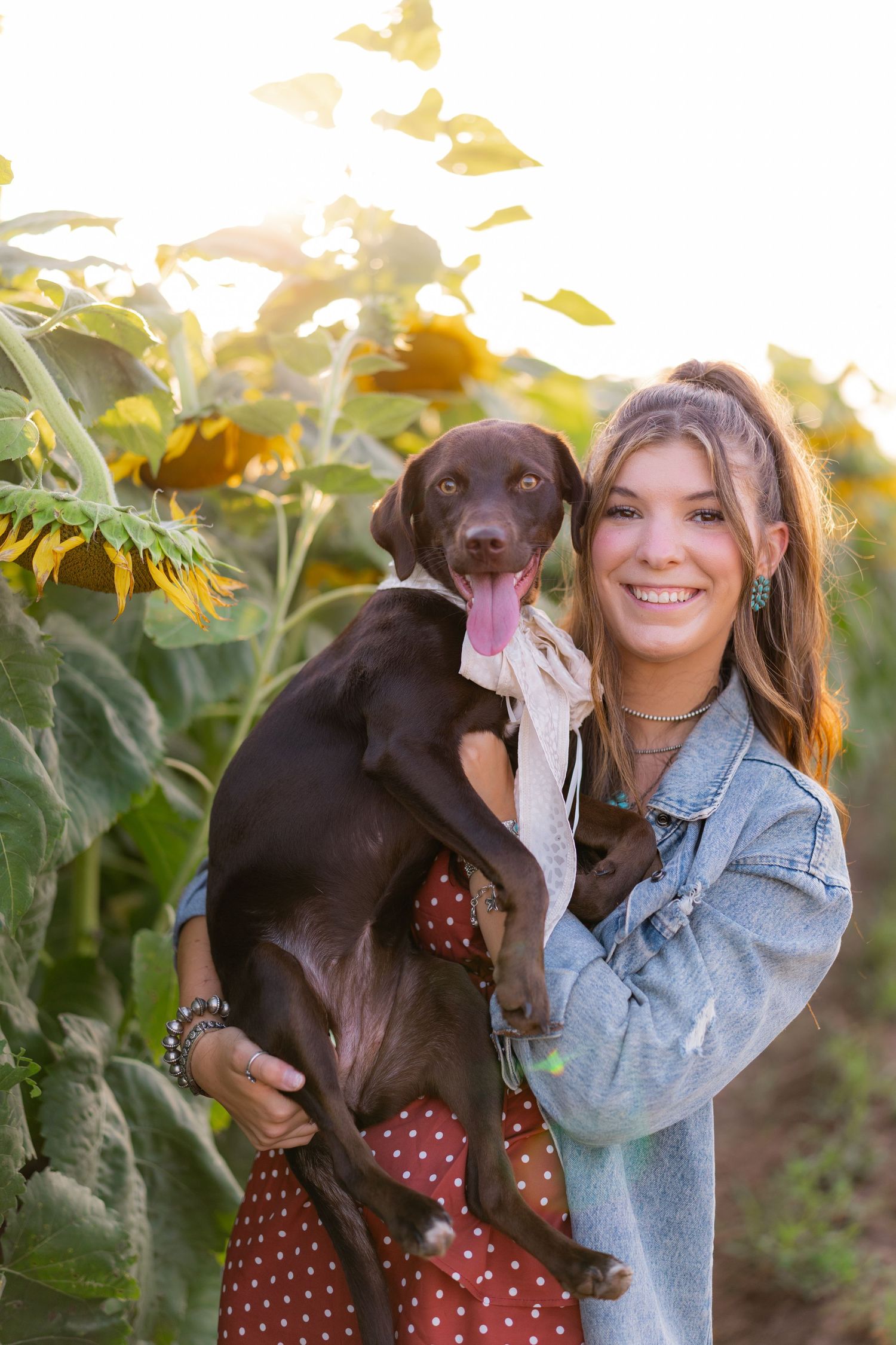 college station tx sunflower mini snook tx photographer