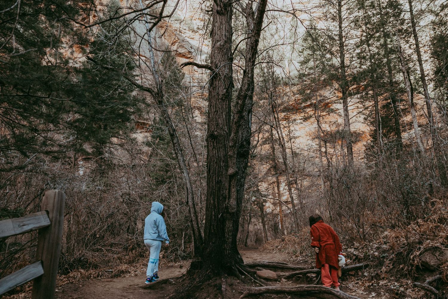 2 children hike near Sedona, Az in the forest. Whitney Popp, Phoenix Arizona photographer.