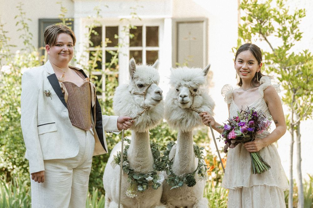 Two brides smiling with white alpacas wearing floral necklaces at The Memorial House in Salt Lake City, Utah wedding