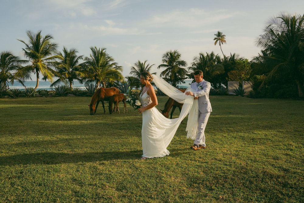 Bride and groom dancing on tropical lawn with palm trees and horses at golden hour beach wedding.