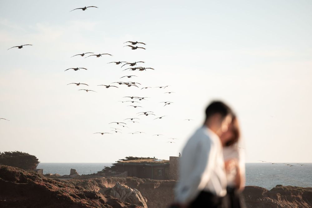 Couple sharing romantic moment on rocky coast with flock of birds soaring in clear sky behind them.