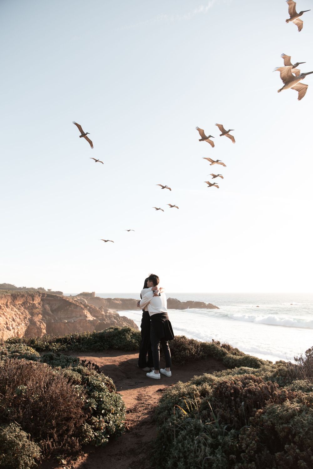 Couple embracing on a coastal cliff with seagulls flying overhead and ocean waves in the background.
