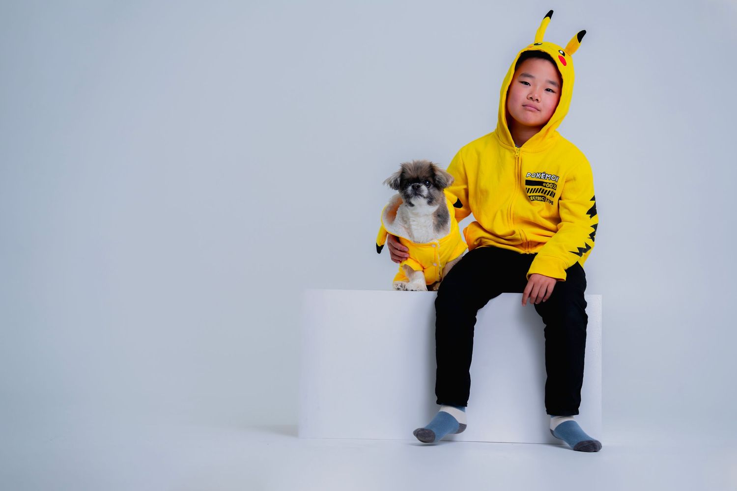 Child in yellow bee hoodie sitting with small dog on white pedestal. in Melbourne photography studio