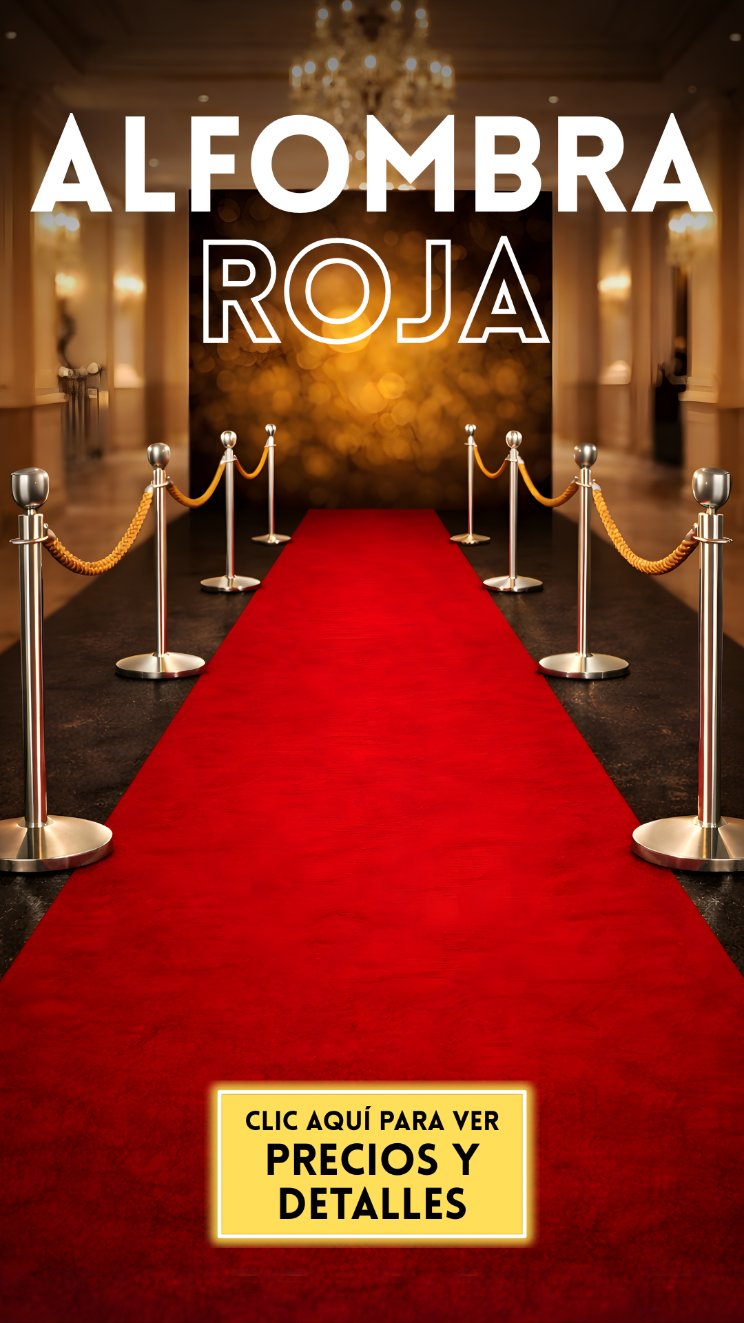fotos con alfombra roja