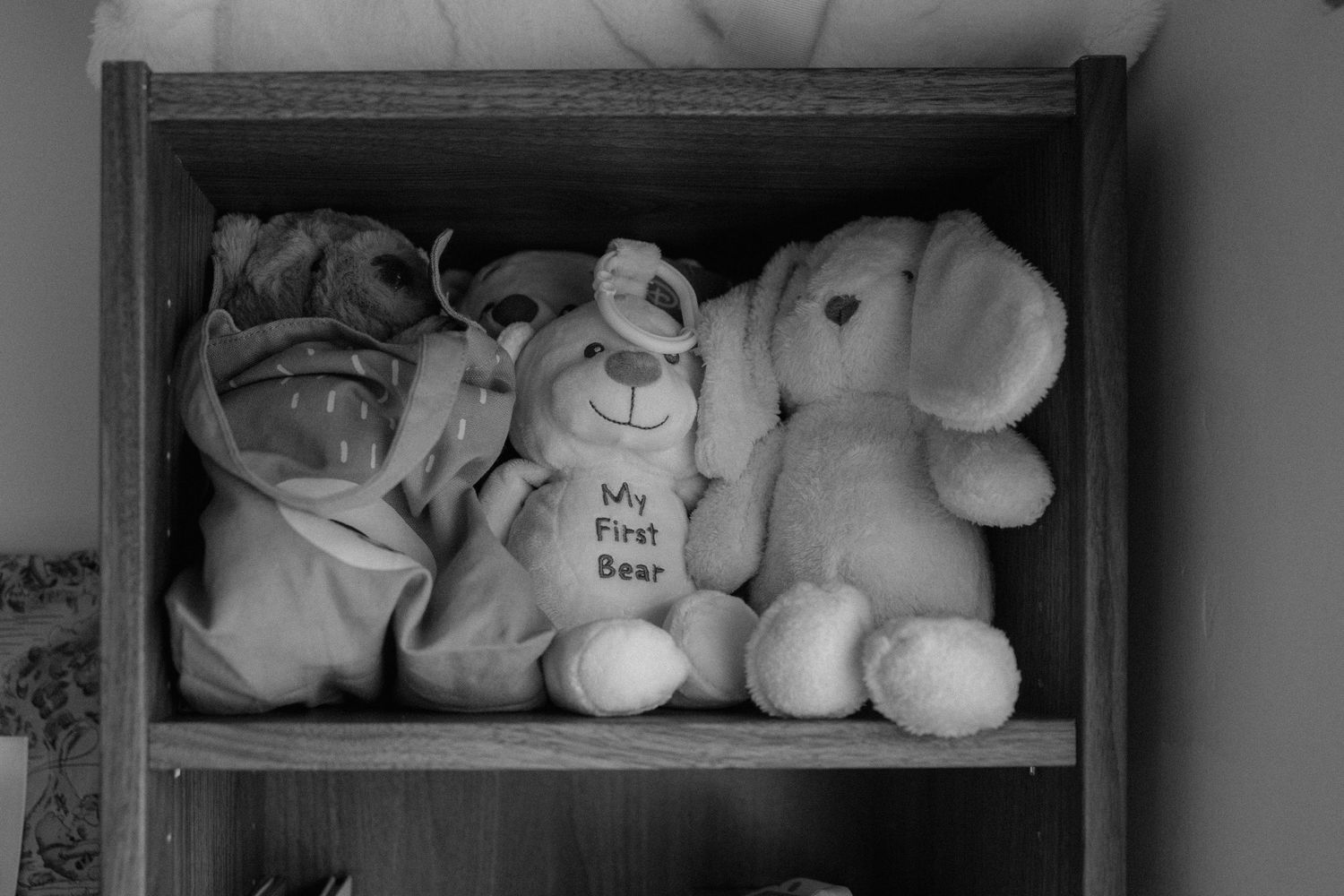 A black and white photograph shows stuffed plush animals arranged on a wooden shelf.