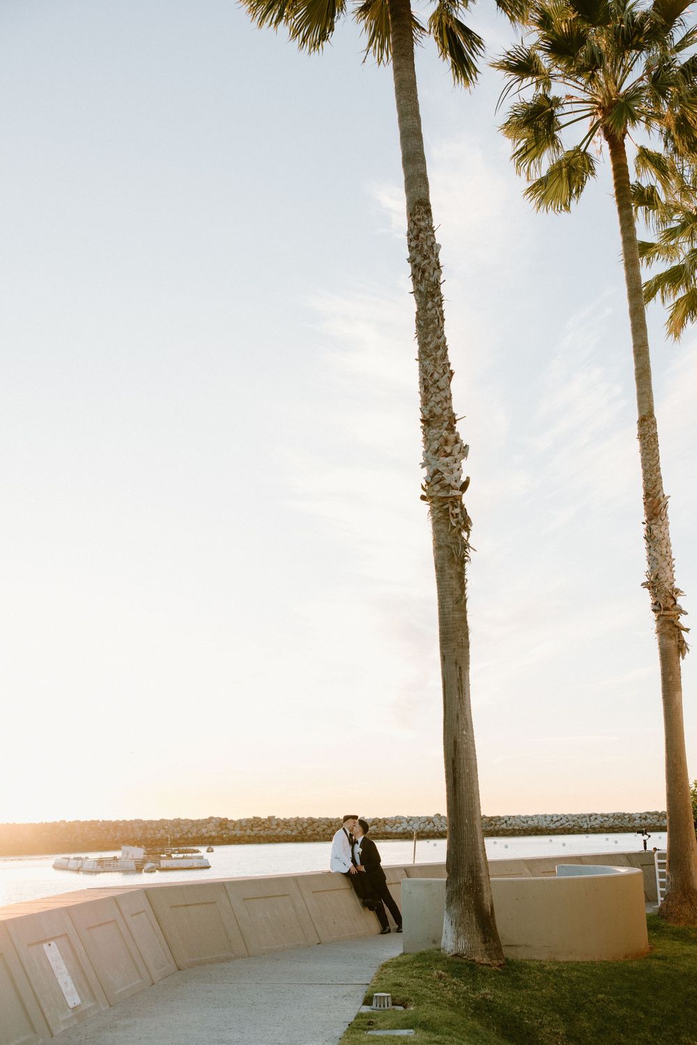 Scenic waterfront view at sunset with tall palm trees framing the coastline.