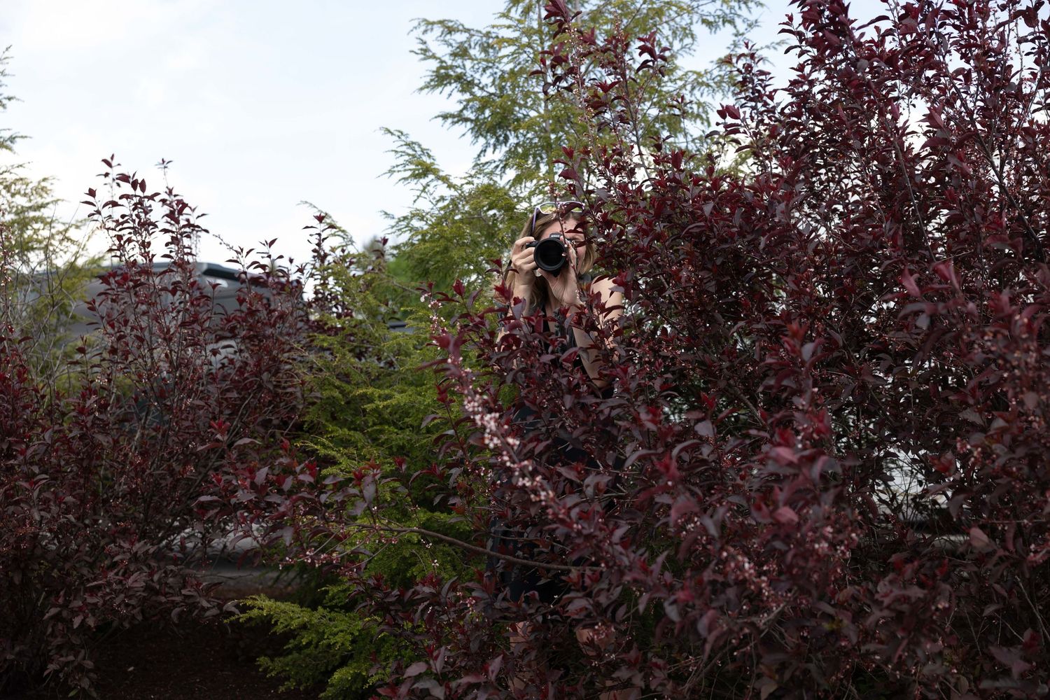 A sequence of seven photos showing a person demonstrating yoga poses outdoors in a natural setting.