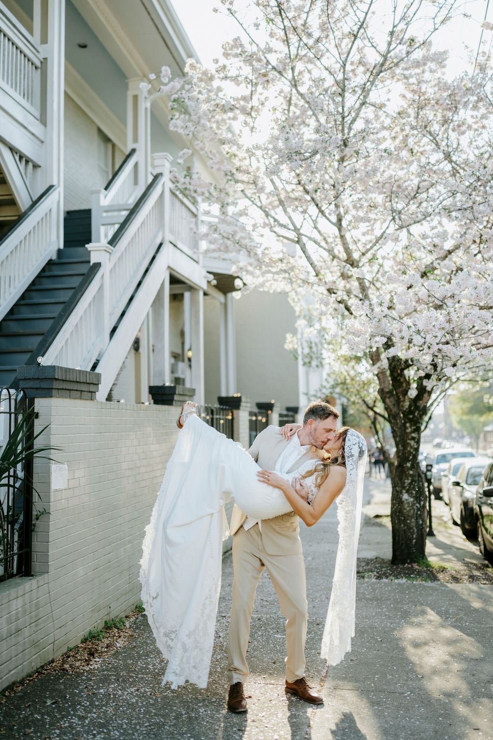 A romantic springtime scene with cherry blossoms blooming over a couple embracing on a sidewalk by white townhouses.