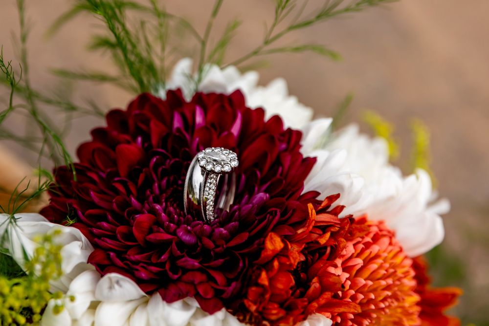 Wedding rings nestled in a vibrant red dahlia bouquet with white and orange flowers.