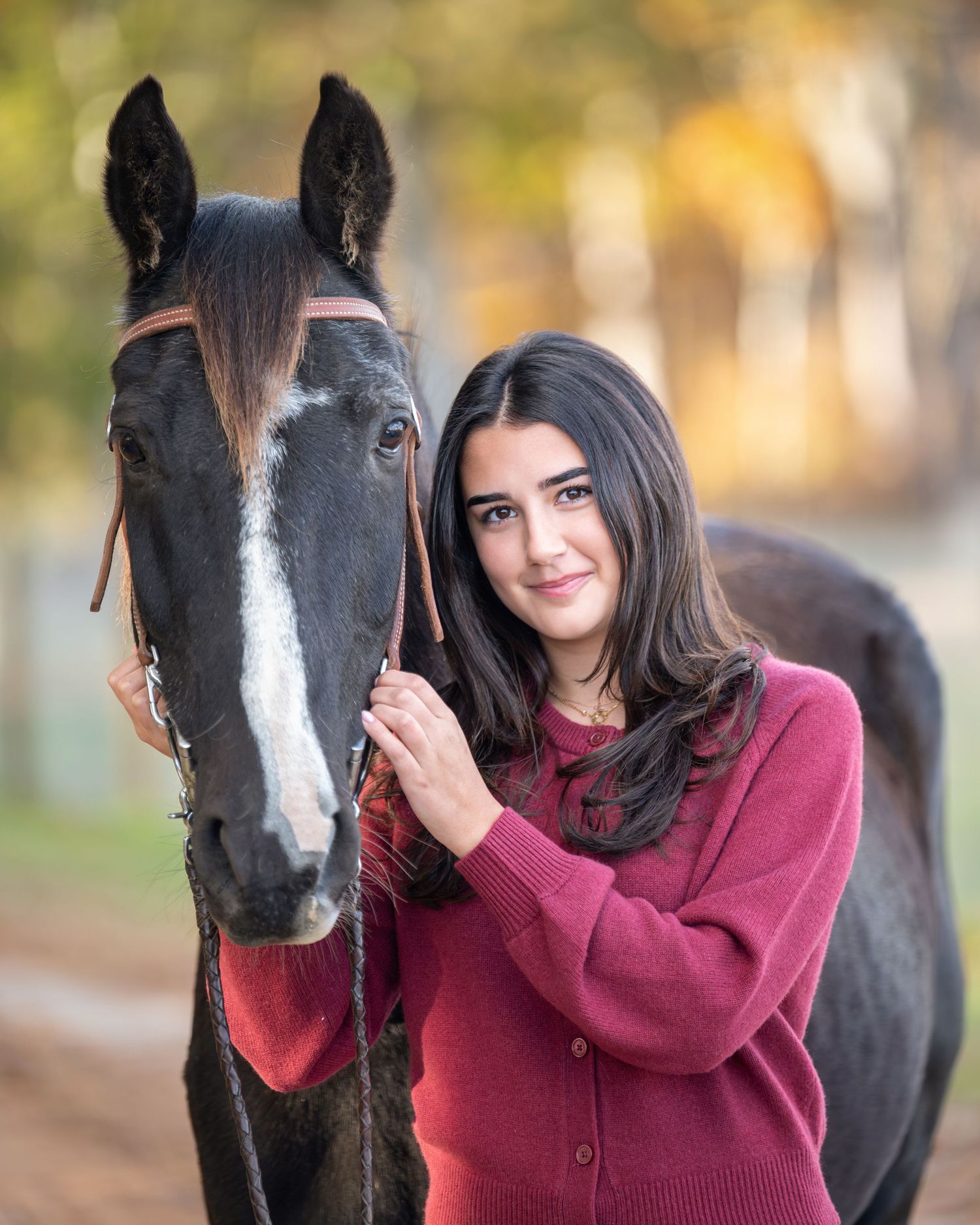 A dark brown horse with bridle stands next to someone wearing a burgundy sweater and jeans outdoors.