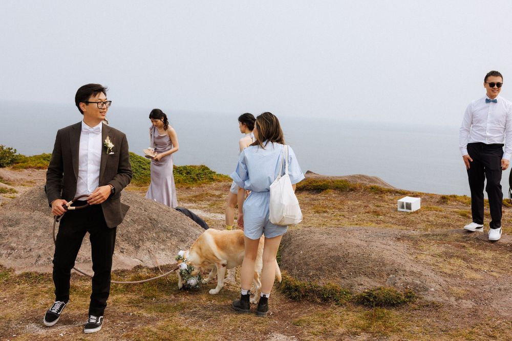 Wedding Ceremony at Torbay Point on the East Coast Trail captured by Newfoundland documentary style wedding photographer Kaitlyn yvette