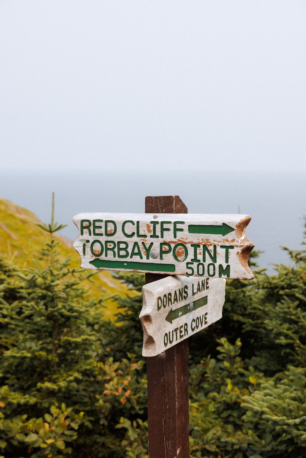Wedding Ceremony at Torbay Point on the East Coast Trail captured by Newfoundland documentary style wedding photographer Kaitlyn yvette